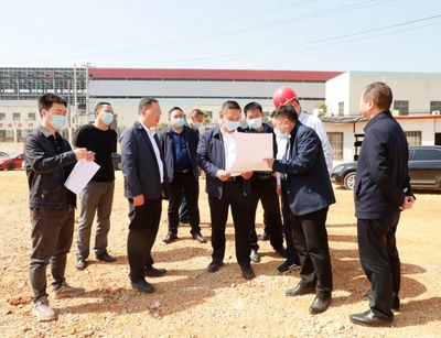 黃進到大龍開發區調研督導項目建設及生態環保、安全生產工作